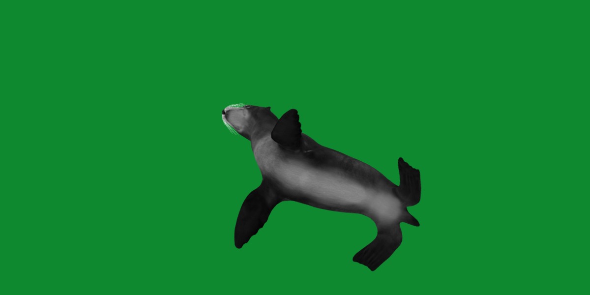 Sea Lion Low-poly 3D model_8