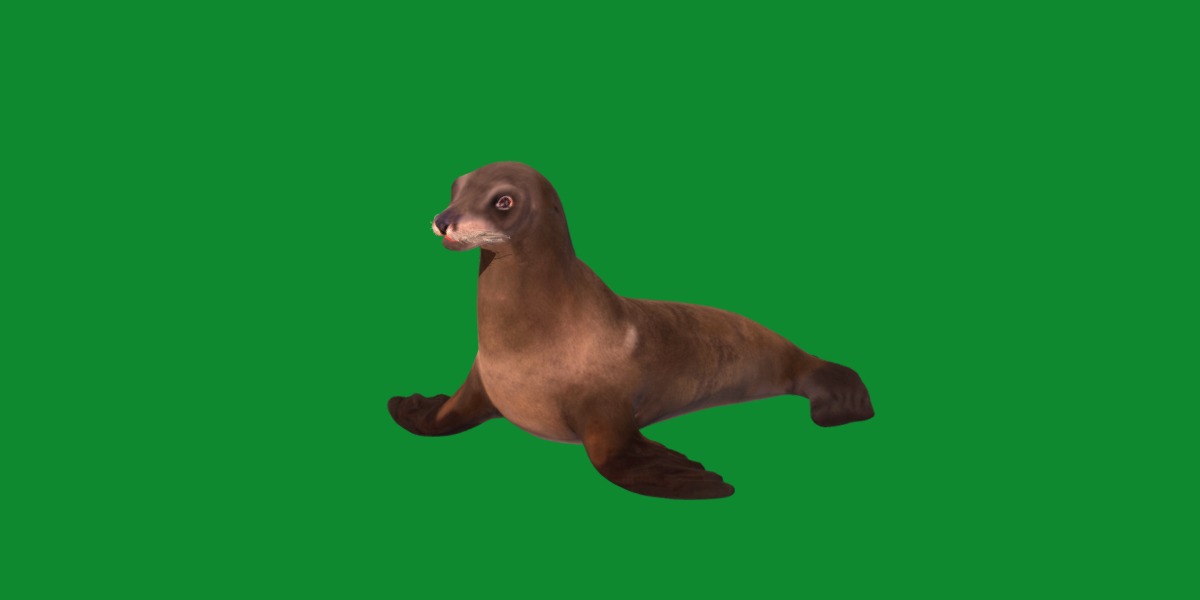 Sea Lion Low-poly 3D model_32