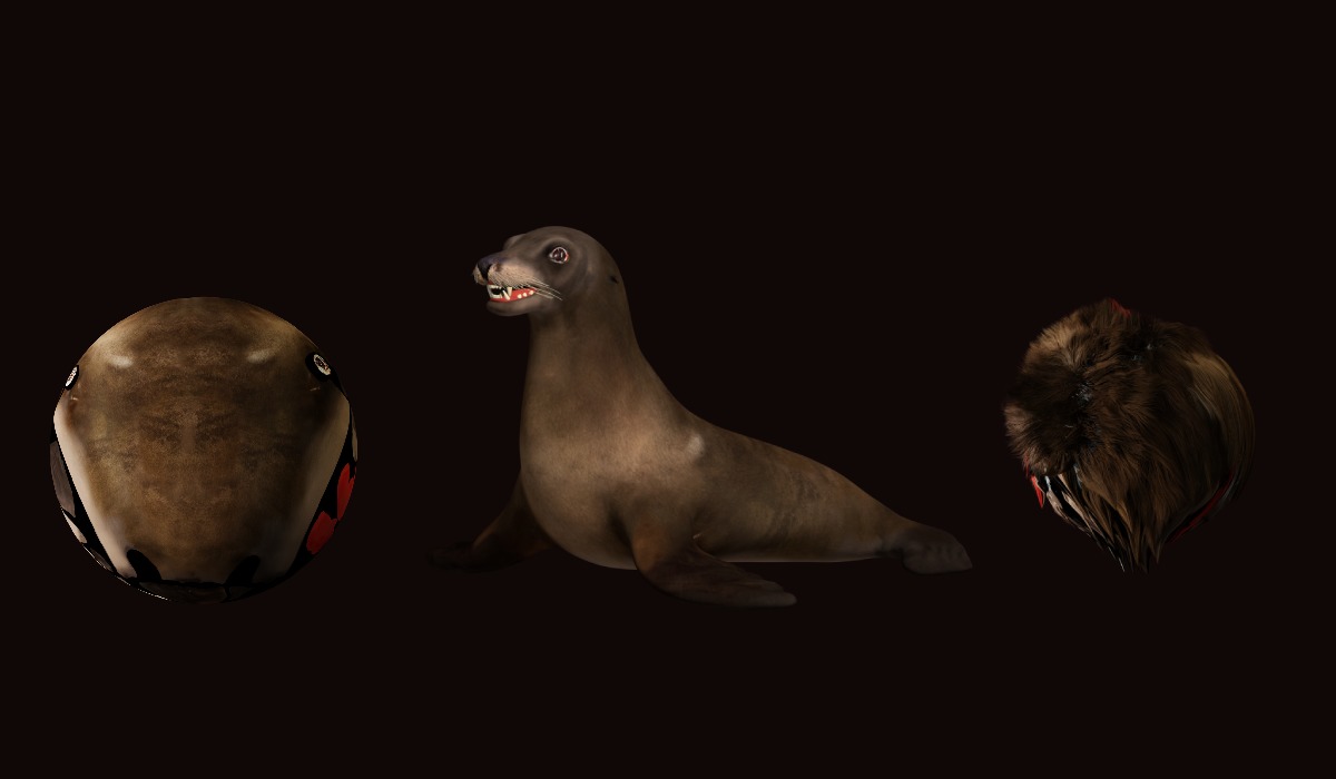 Sea Lion Low-poly 3D model_24