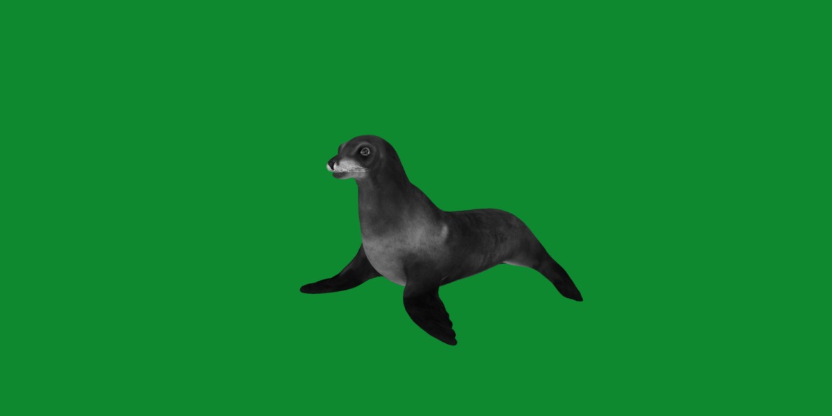 Sea Lion Low-poly 3D model_7
