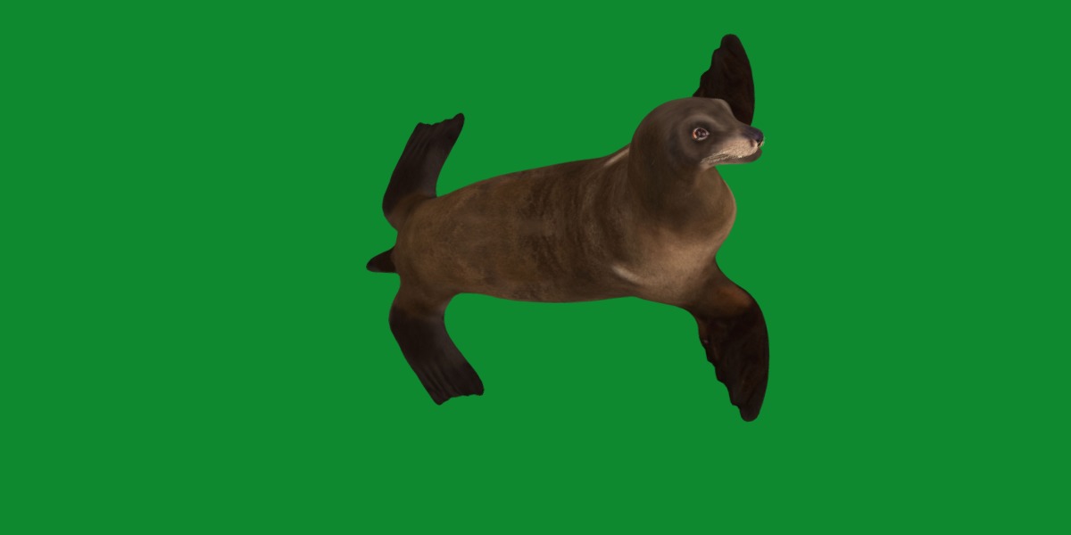 Sea Lion Low-poly 3D model_29