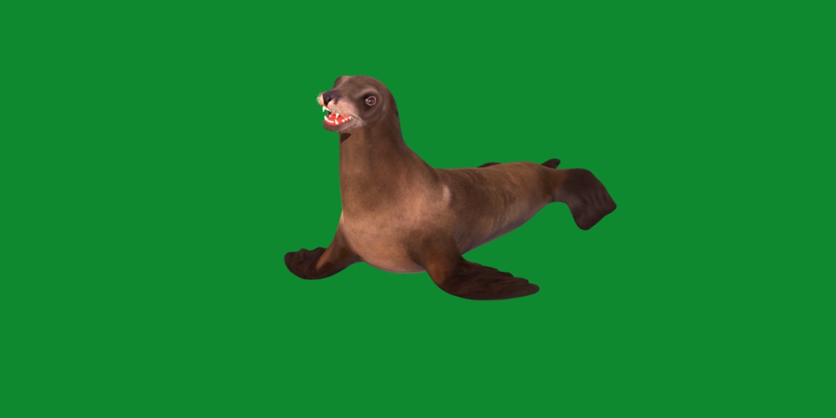Sea Lion Low-poly 3D model_15