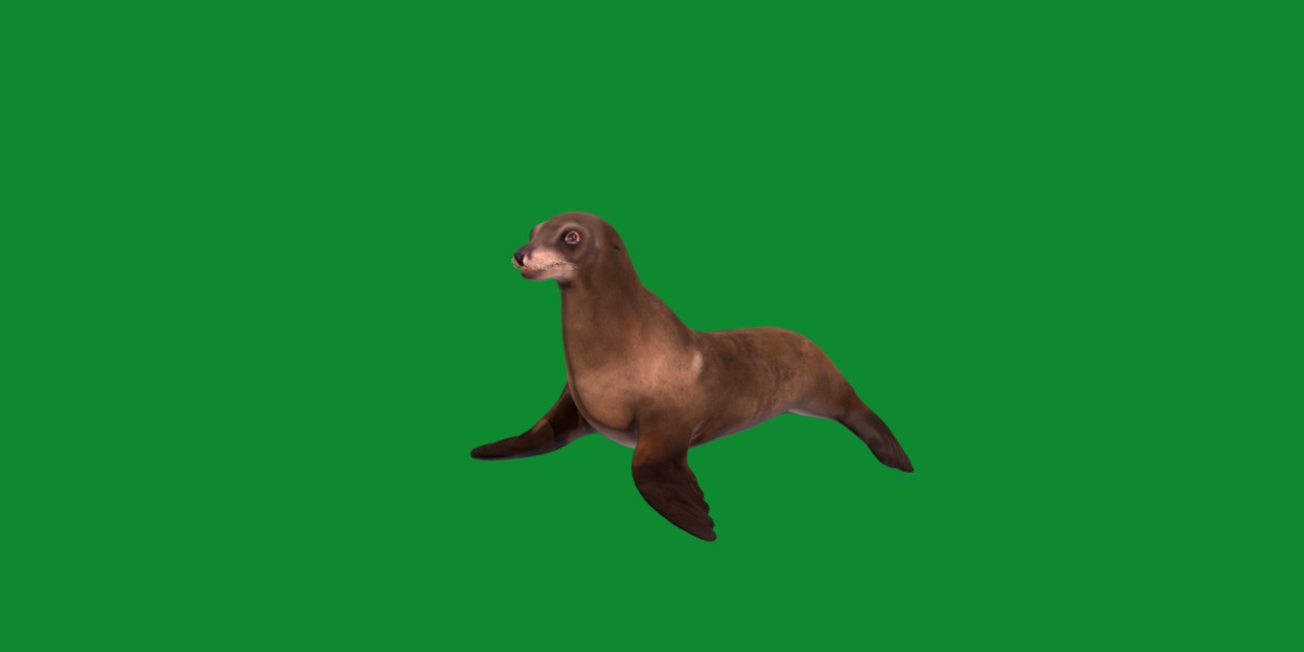 Sea Lion Low-poly 3D model_30