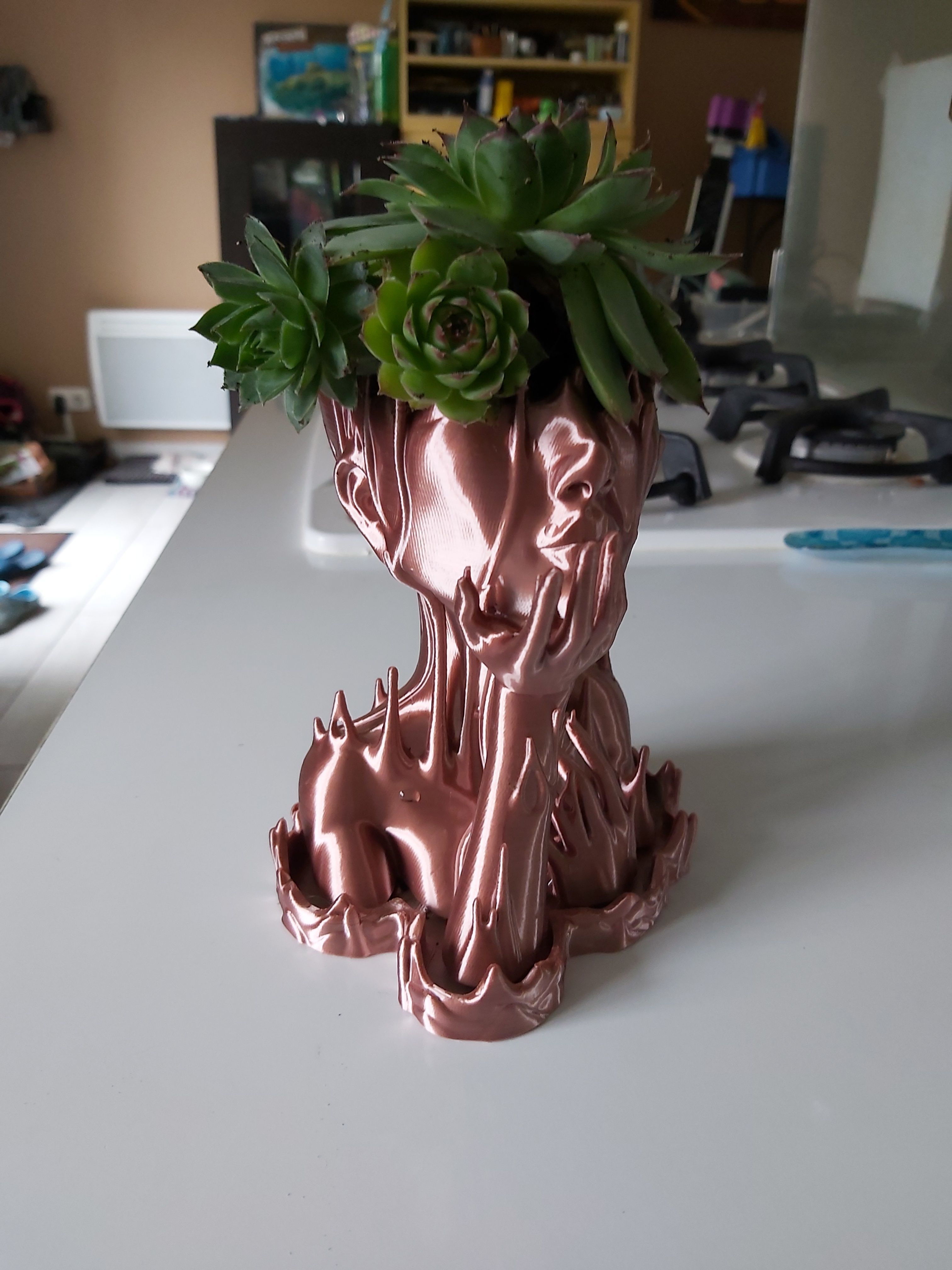 Melted Girl Vase 3D print model_2