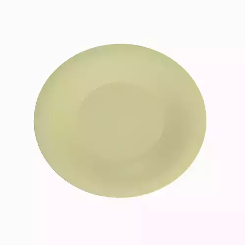 Disposable Plastic Plate B 04