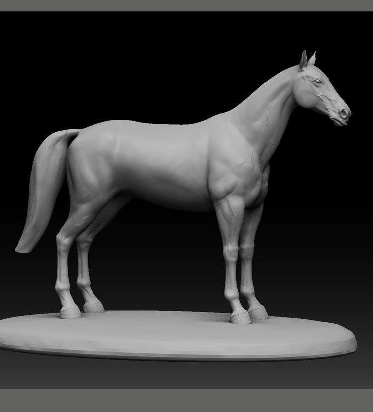 horse 3D model_1