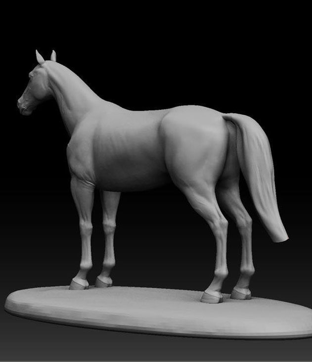 horse 3D model_3