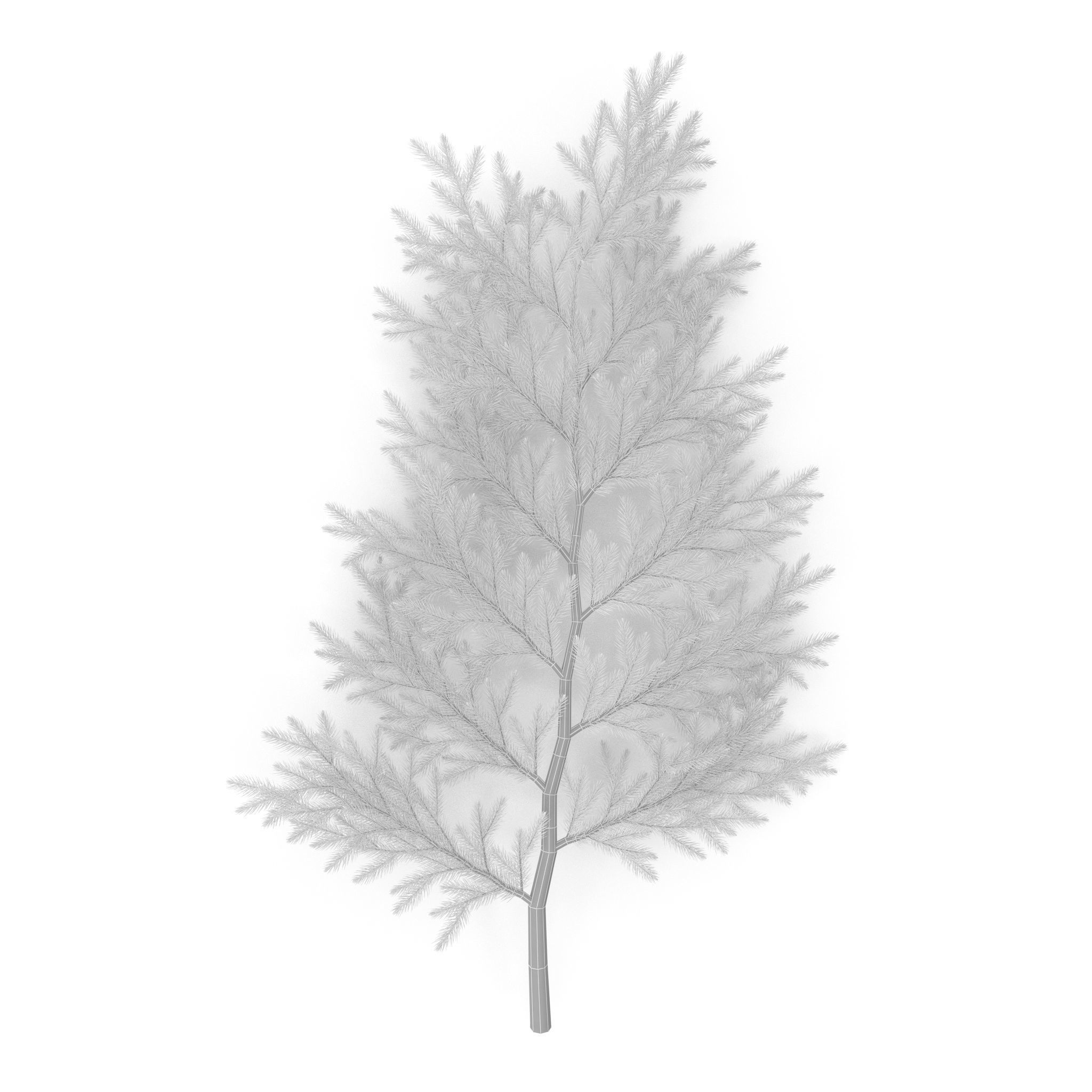 Spruce Branch Big 3D model_9