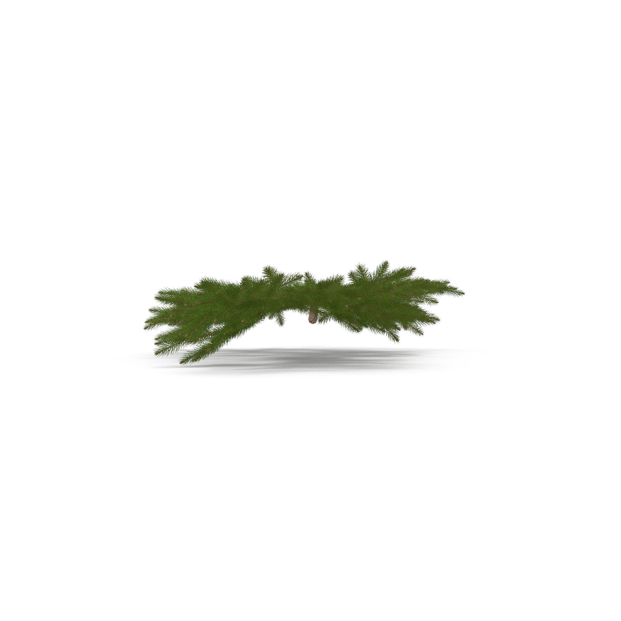 Spruce Branch Big 3D model_6