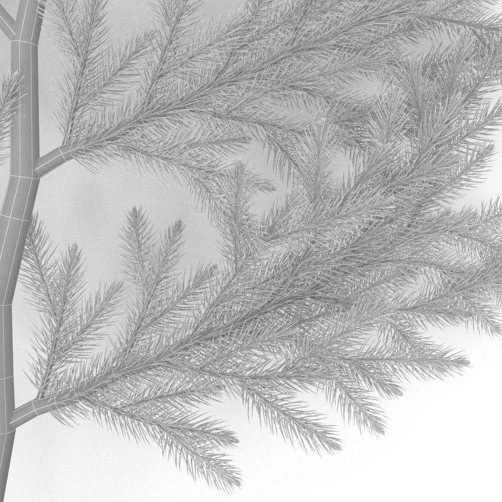Spruce Branch Big 3D model_10