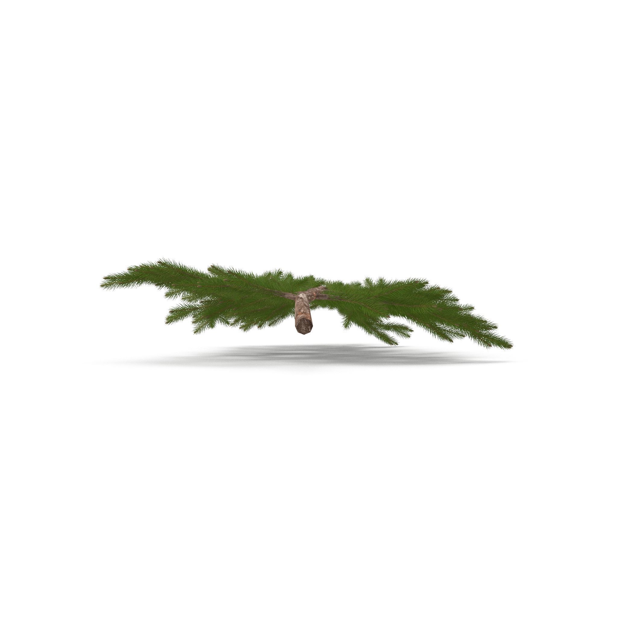 Spruce Branch Big 3D model_5