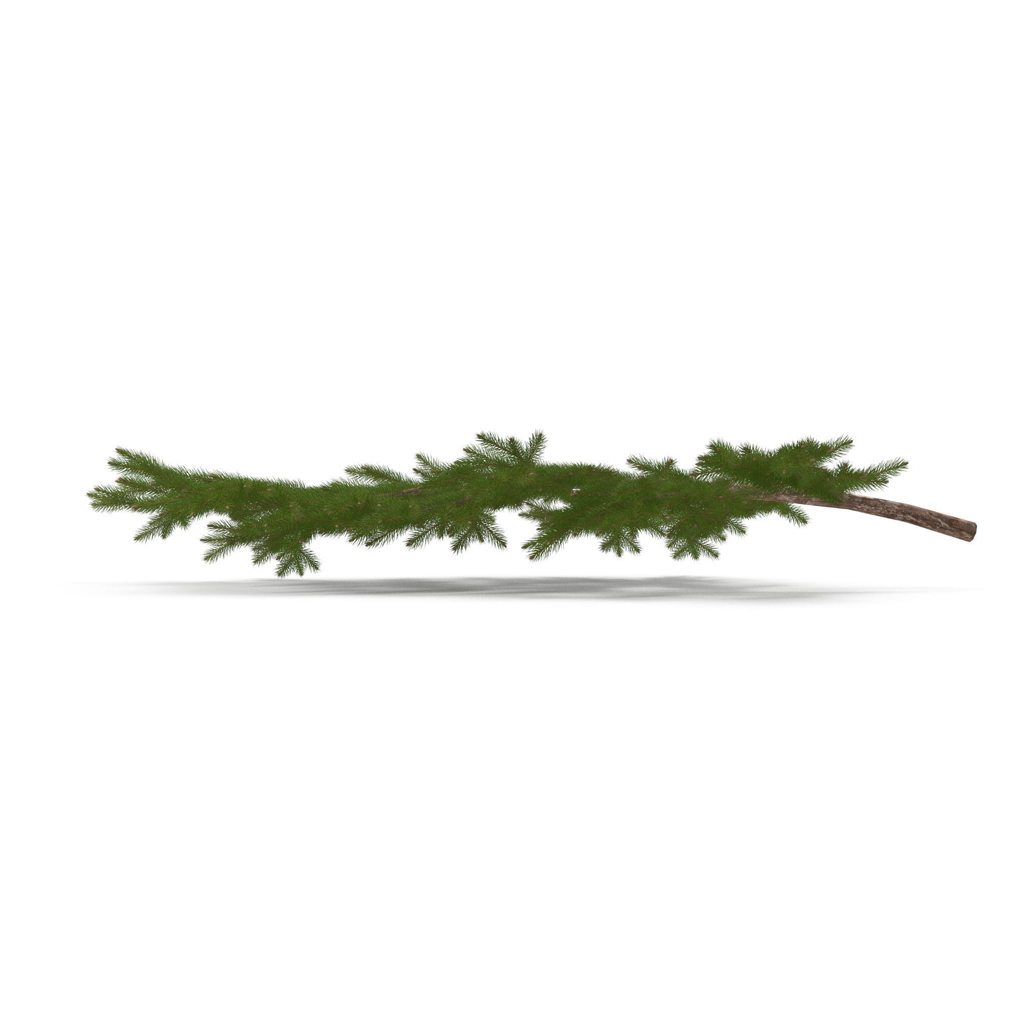 Spruce Branch Big 3D model_3