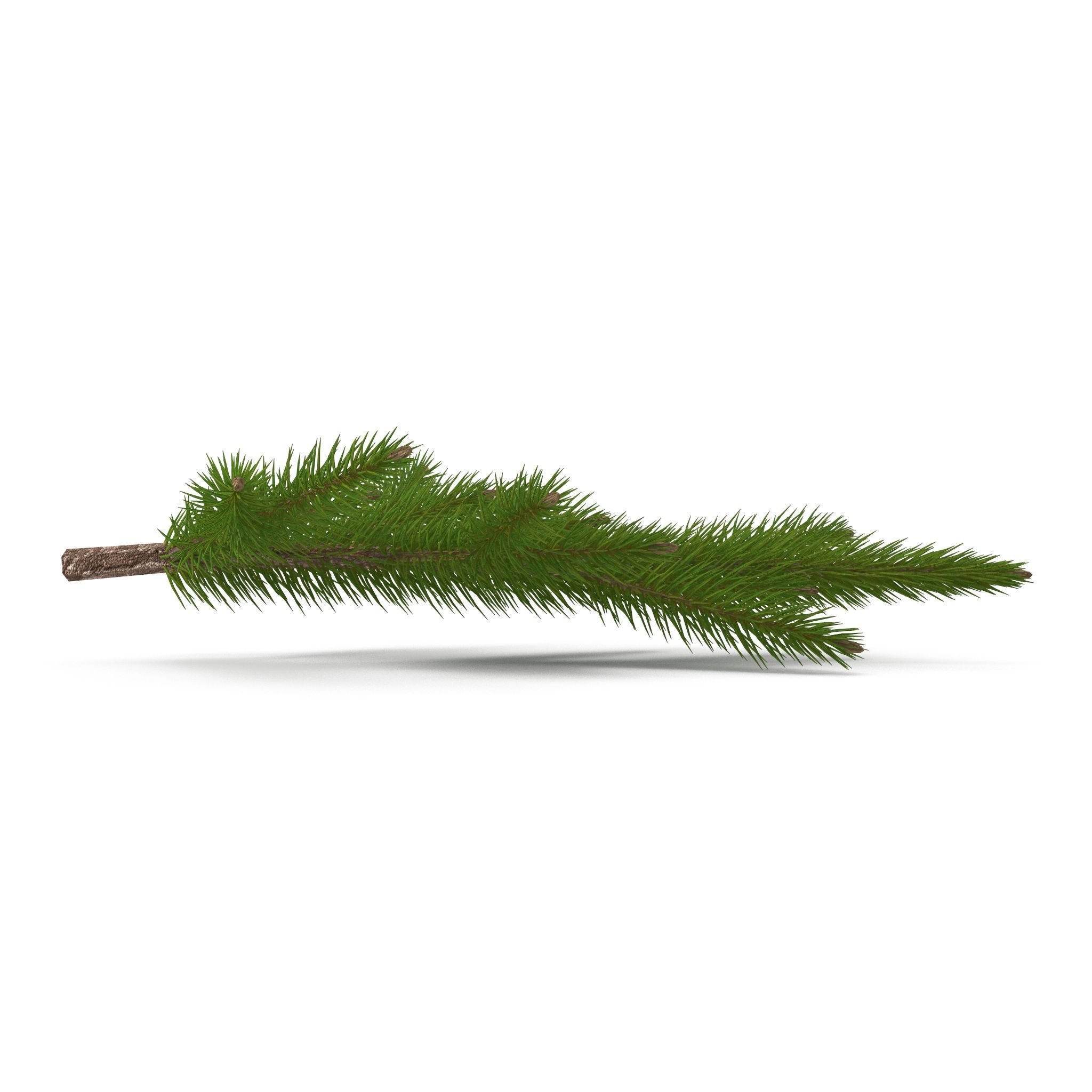Spruce Branch Mid 3D model_6