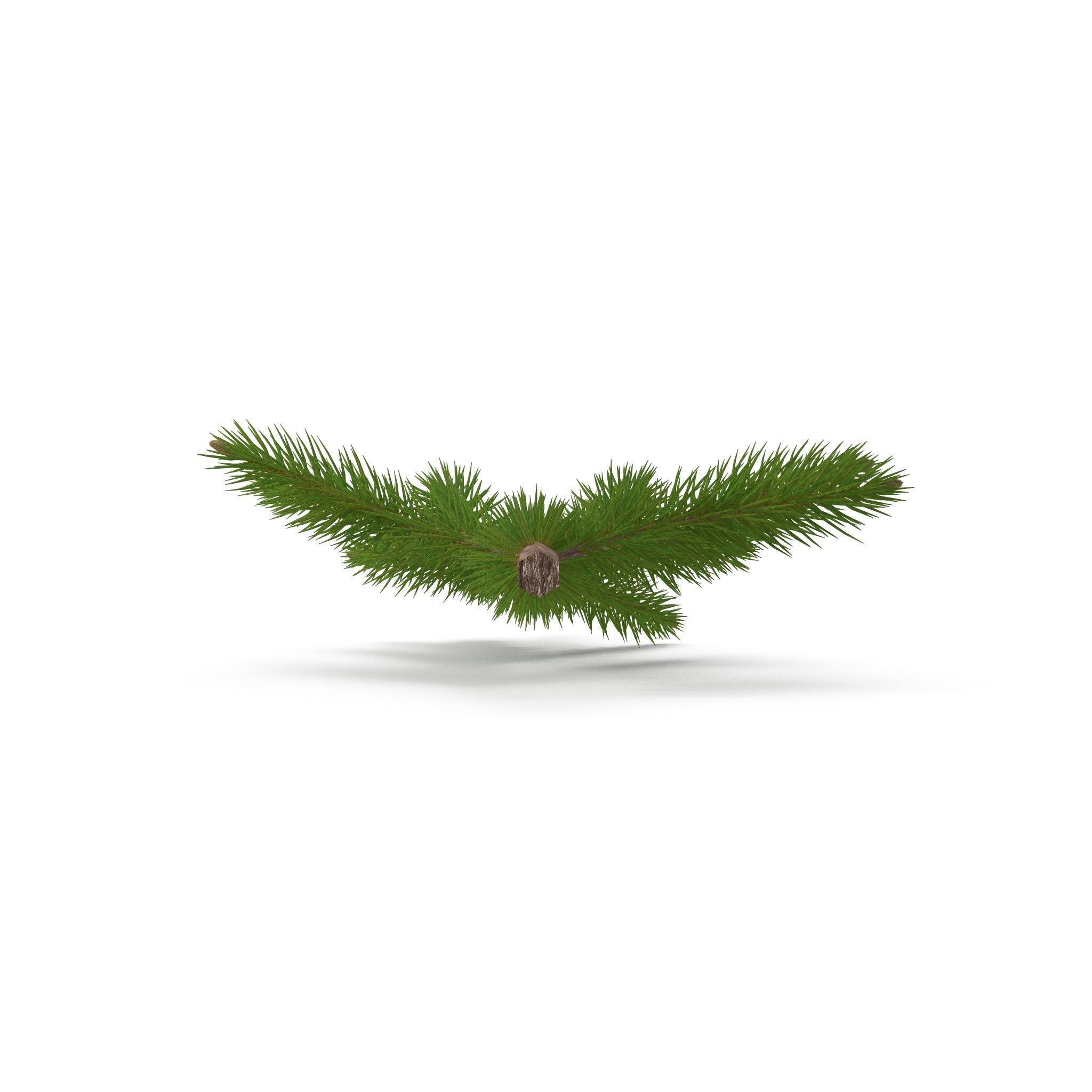 Spruce Branch Mid 3D model_3