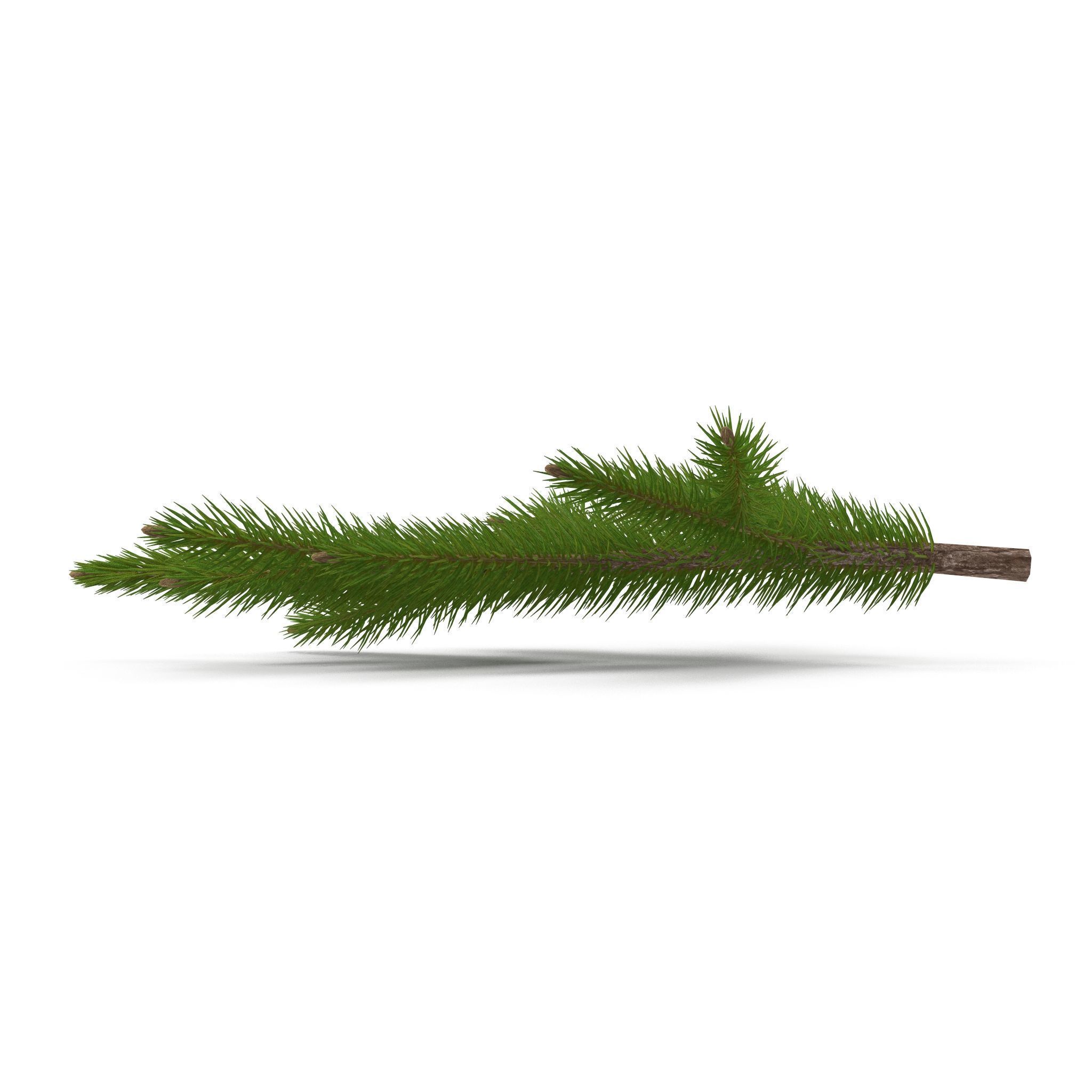 Spruce Branch Mid 3D model_2