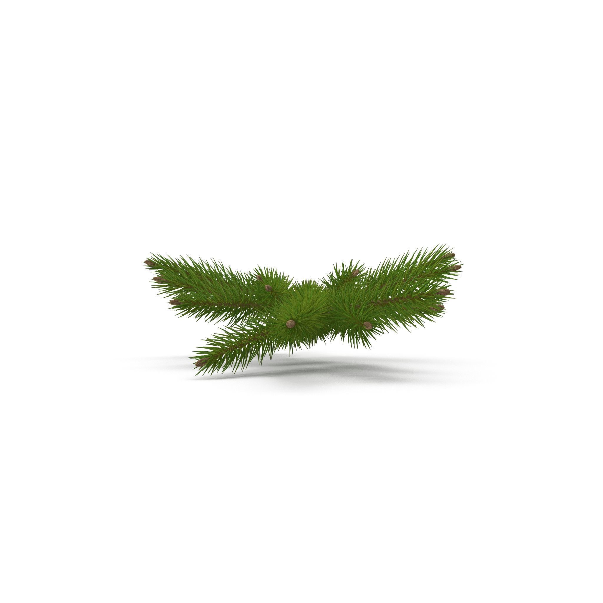 Spruce Branch Mid 3D model_5