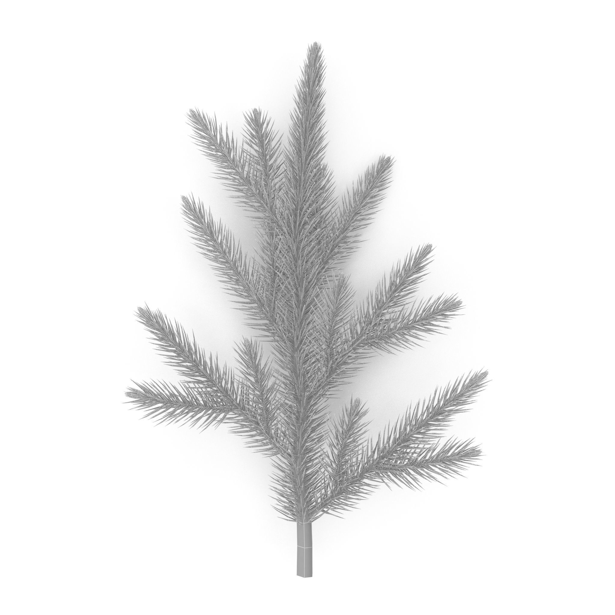 Spruce Branch Mid 3D model_9