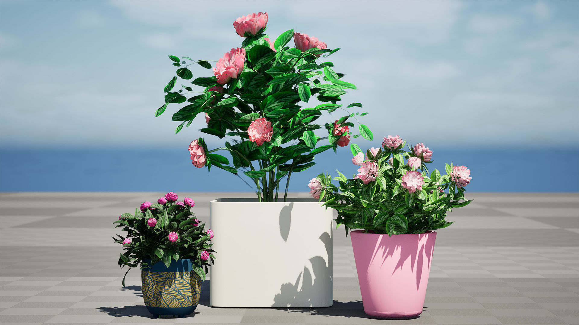 Pink Peony Trio Low-poly 3D model_9