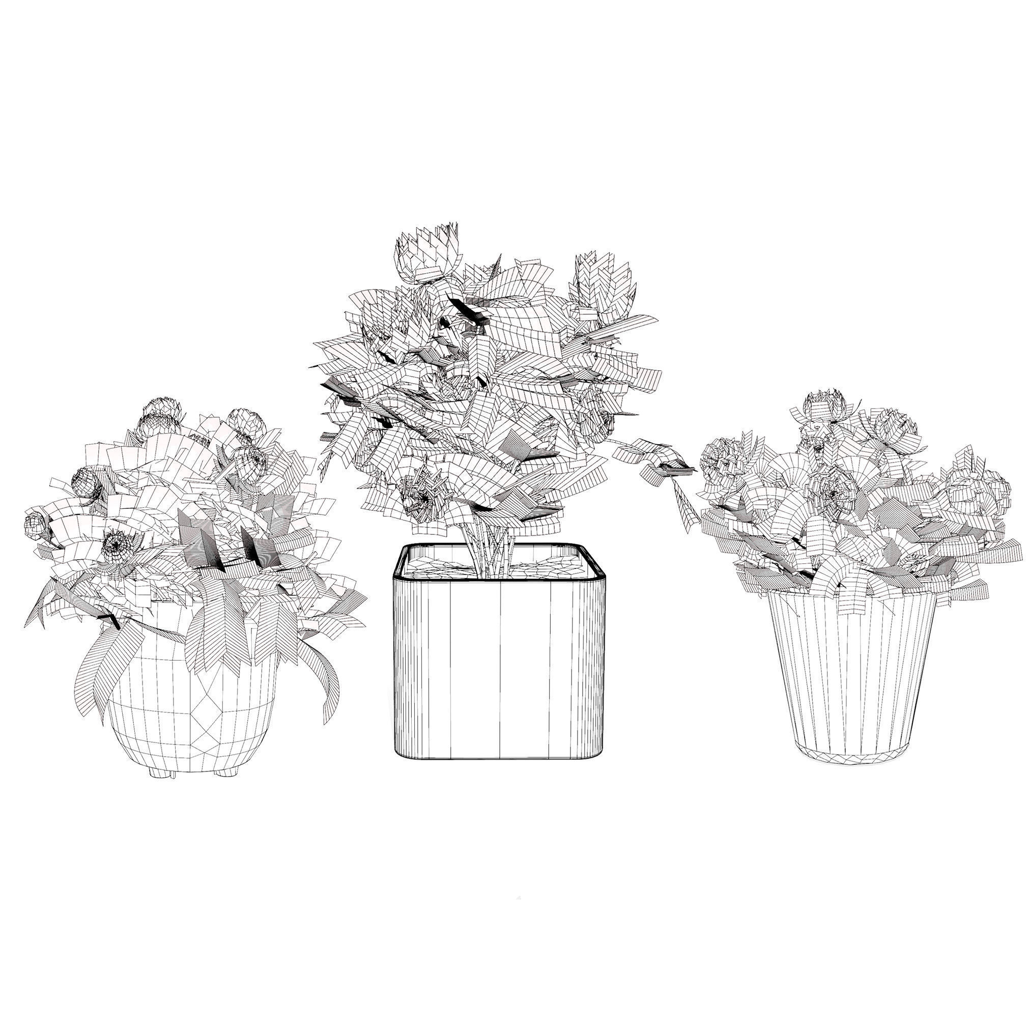 Pink Peony Trio Low-poly 3D model_8