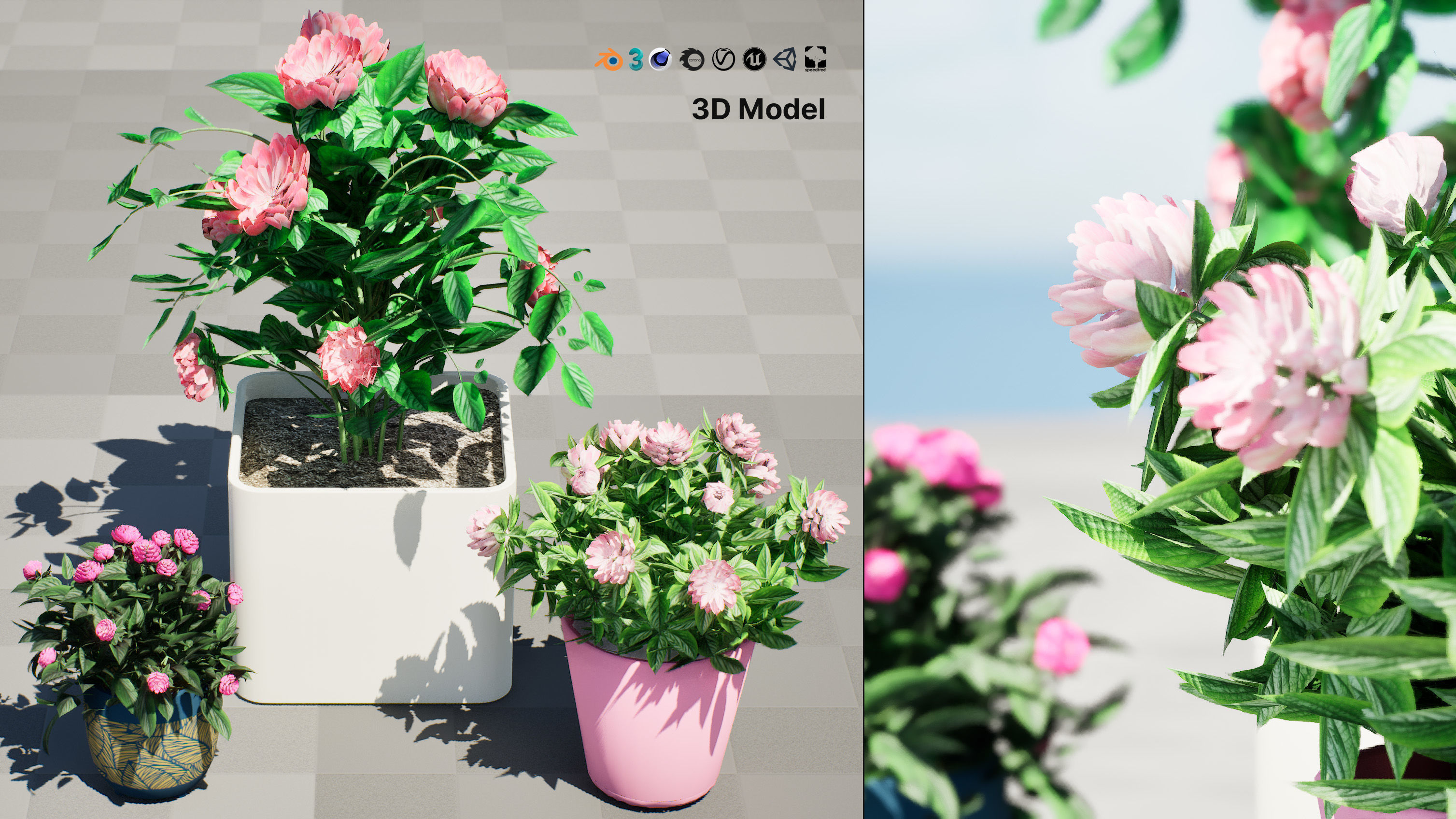 Pink Peony Trio Low-poly 3D model_2