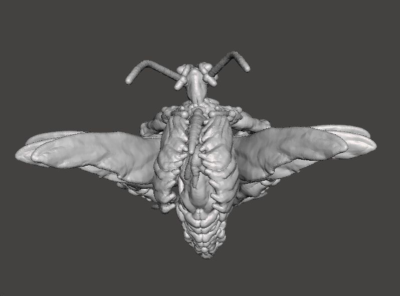 RE4 FLYING NOVISTADOR MONSTER MINIATURE MODEL HORROR FANTASY RPG 3D print model_6