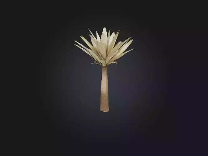 Yucca Model