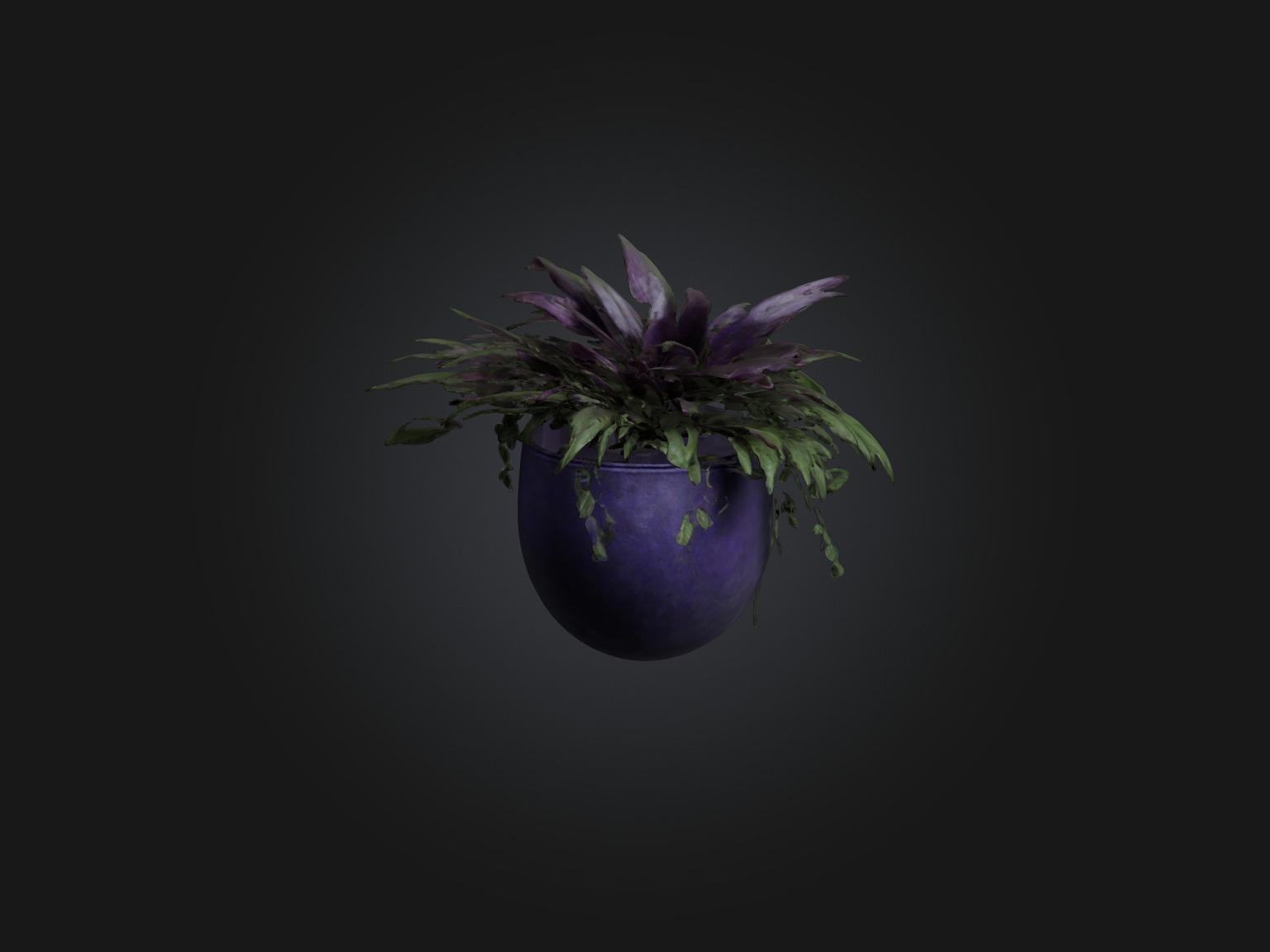 Wandering Jew Model Low-poly 3D model_3