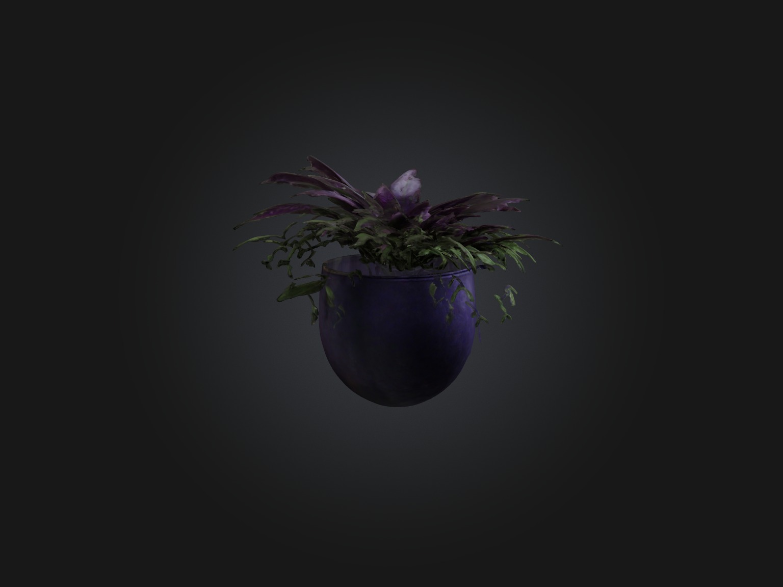 Wandering Jew Model Low-poly 3D model_6