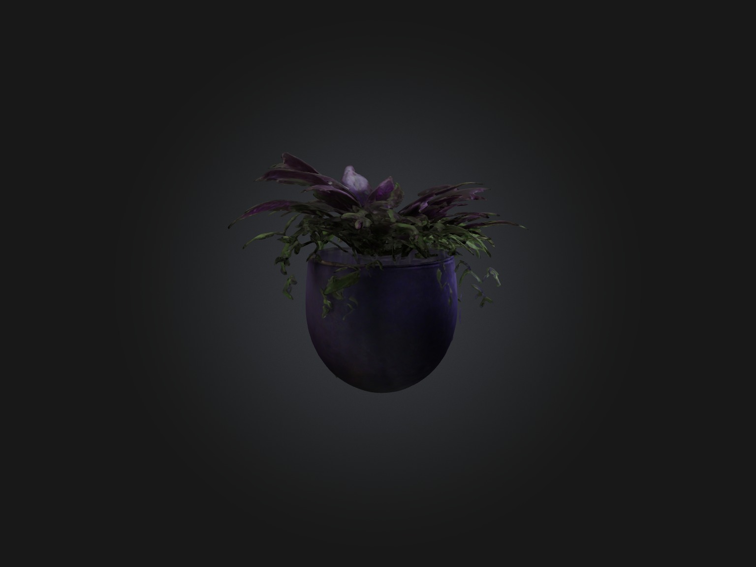 Wandering Jew Model Low-poly 3D model_7