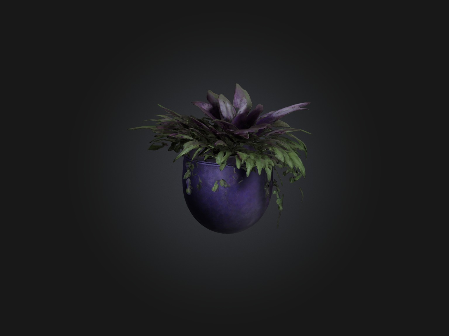 Wandering Jew Model Low-poly 3D model_1