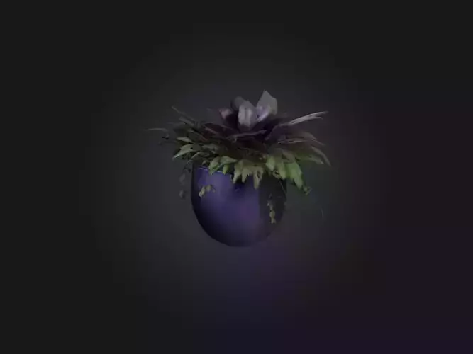 Wandering Jew Model Low-poly 3D model