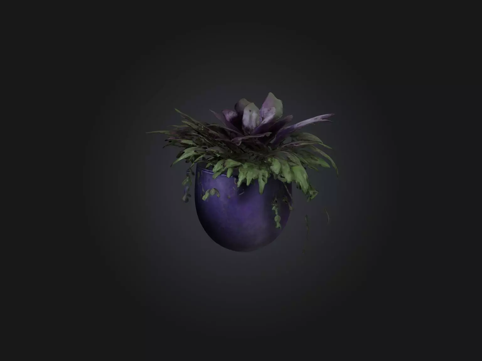 Wandering Jew Model Low-poly 3D model_0