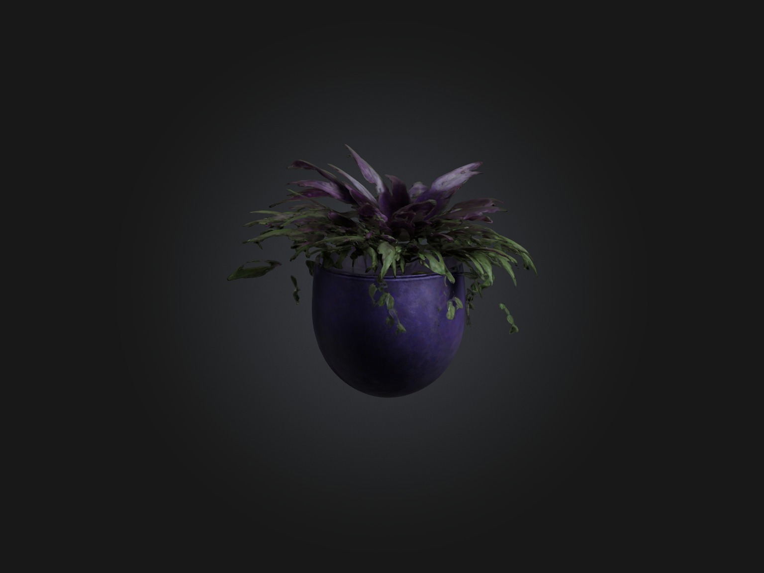 Wandering Jew Model Low-poly 3D model_4