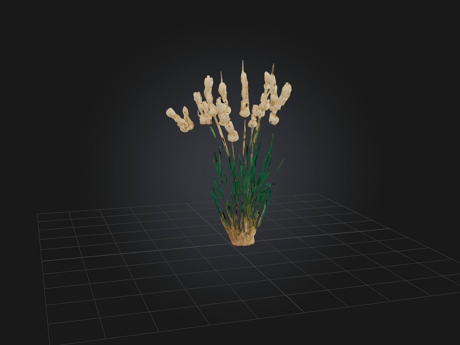 Tarragon Model Low-poly 3D model_8