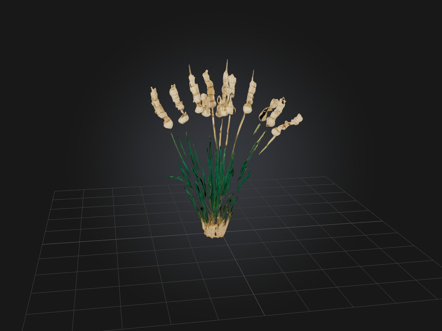 Tarragon Model Low-poly 3D model_4