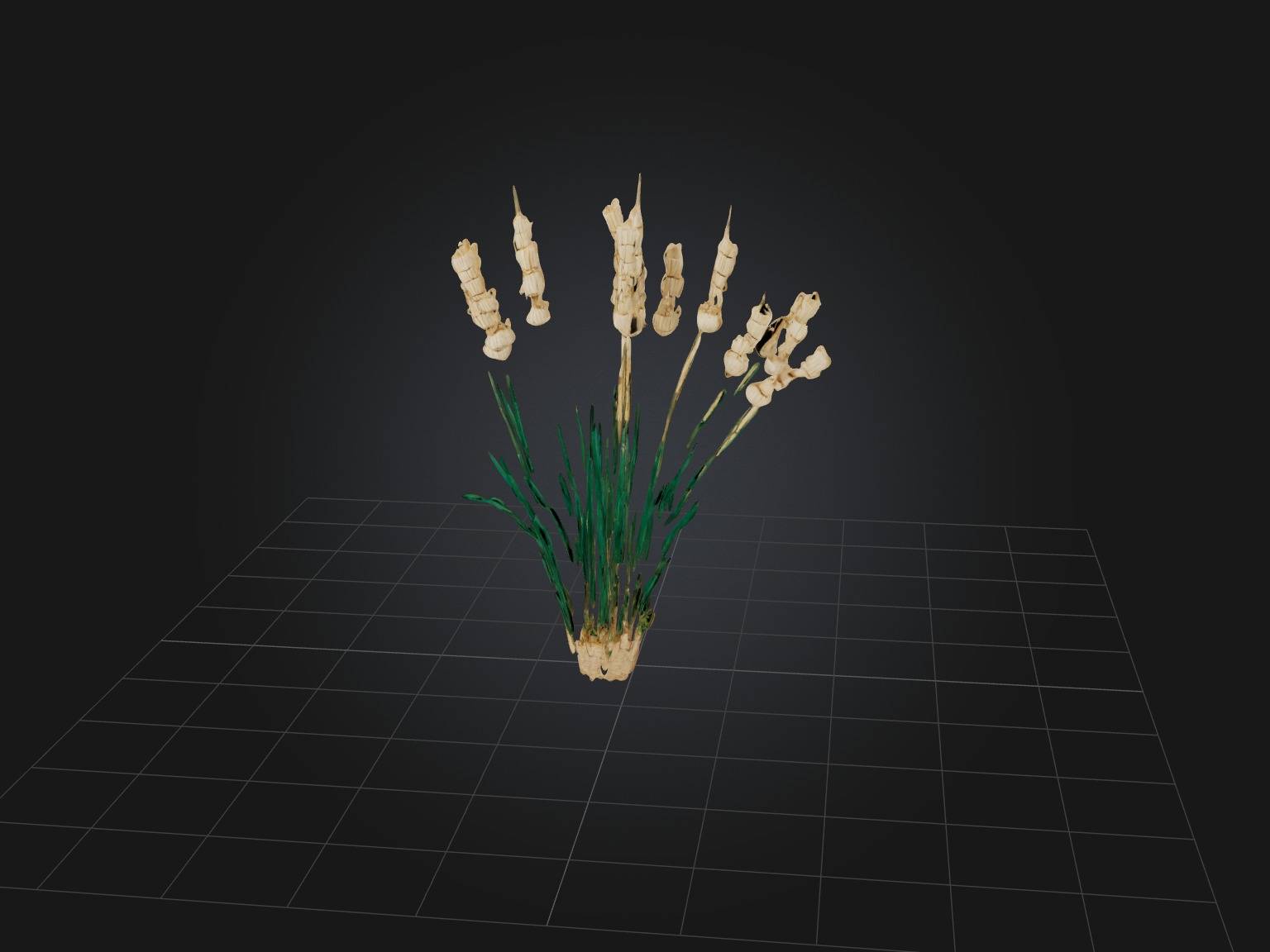 Tarragon Model Low-poly 3D model_3