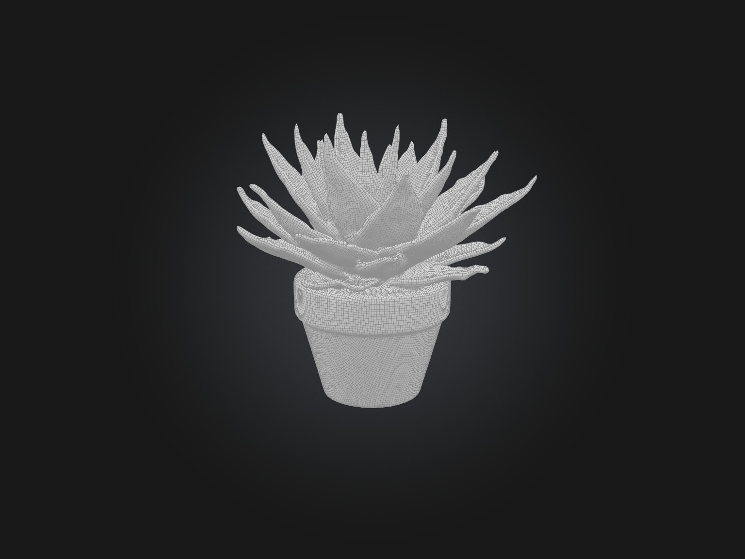 Succulent Model Low-poly 3D model_2