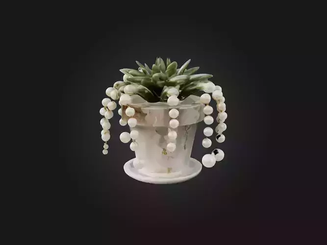 String of Pearls Model Low-poly 3D model