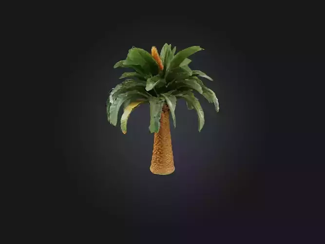 Sago Palm Model