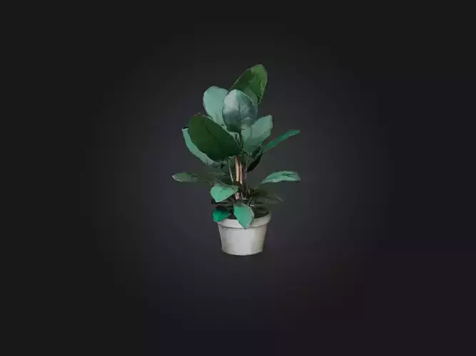 Rubber Plant Model