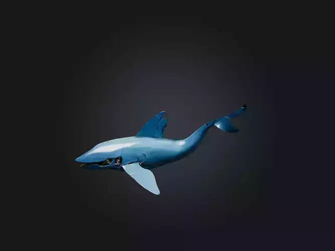 RoboWhale Model Low-poly 3D model