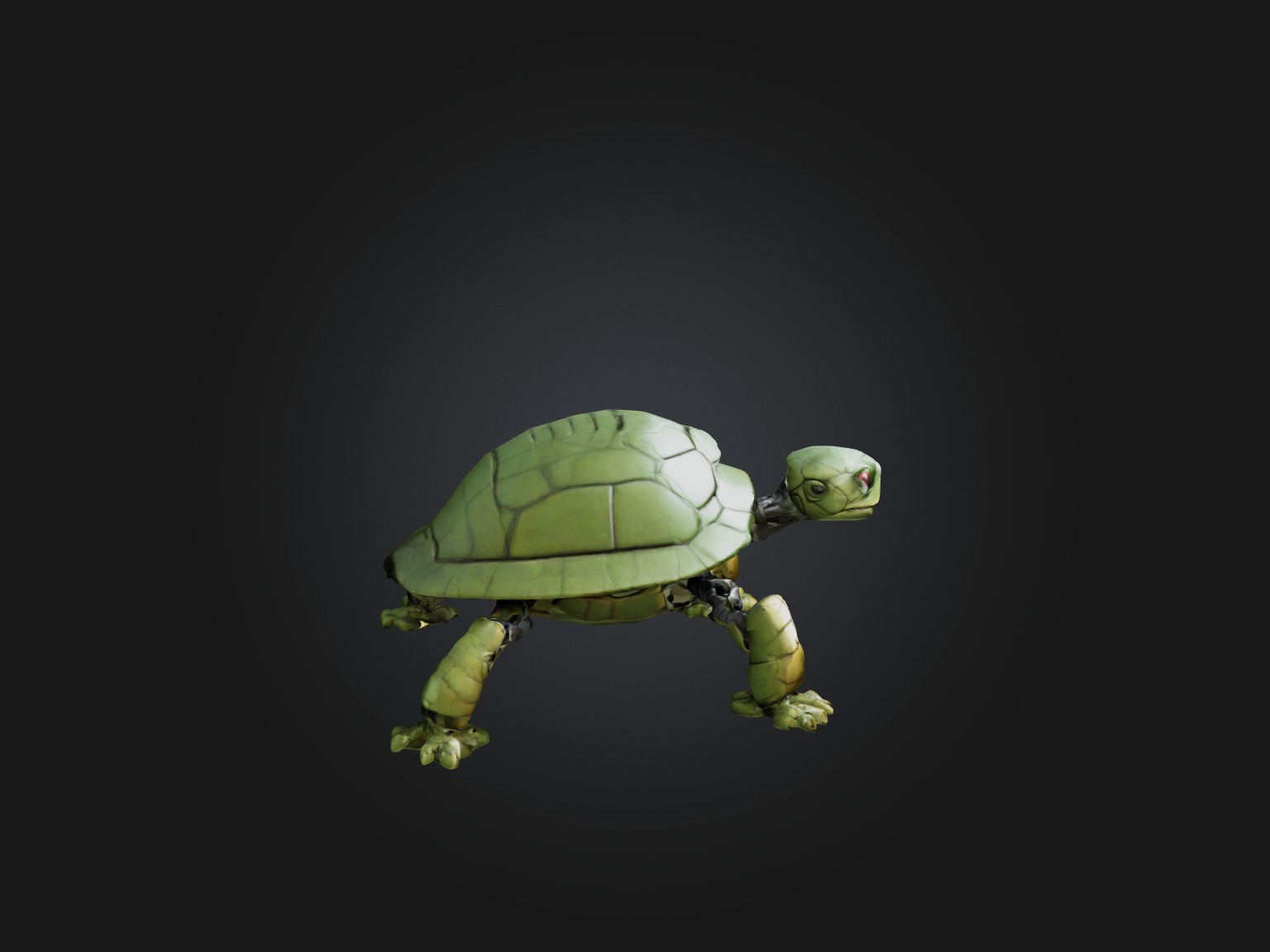 RoboTurtle Model Low-poly 3D model_9