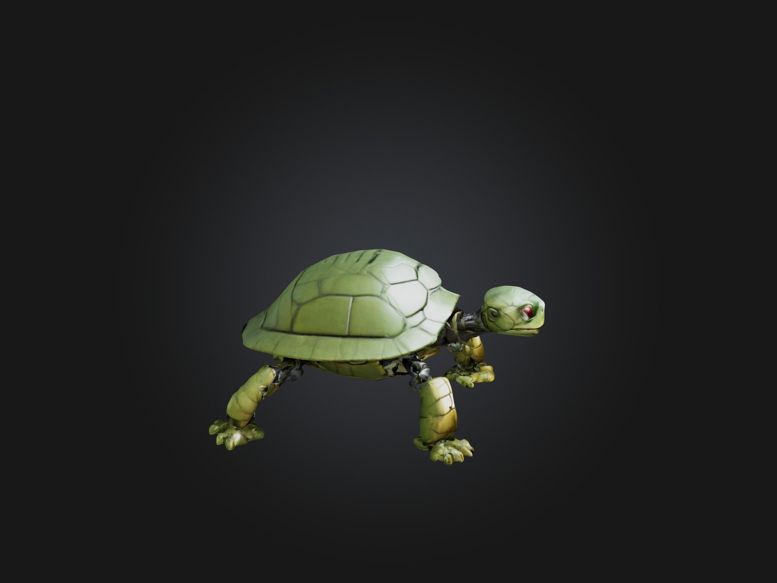 RoboTurtle Model Low-poly 3D model_6