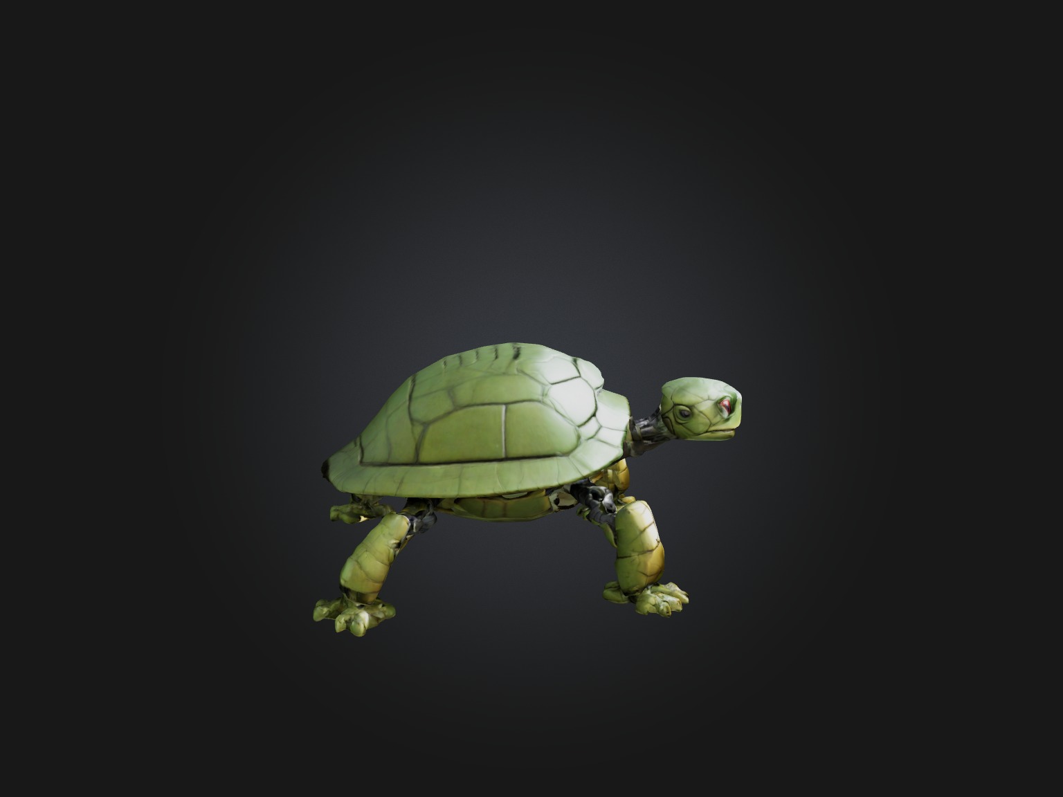 RoboTurtle Model Low-poly 3D model_7