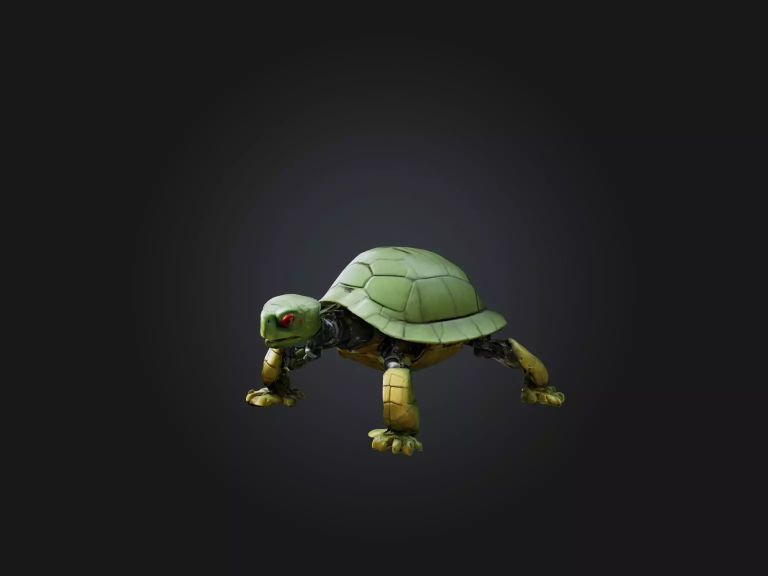 RoboTurtle Model Low-poly 3D model_0