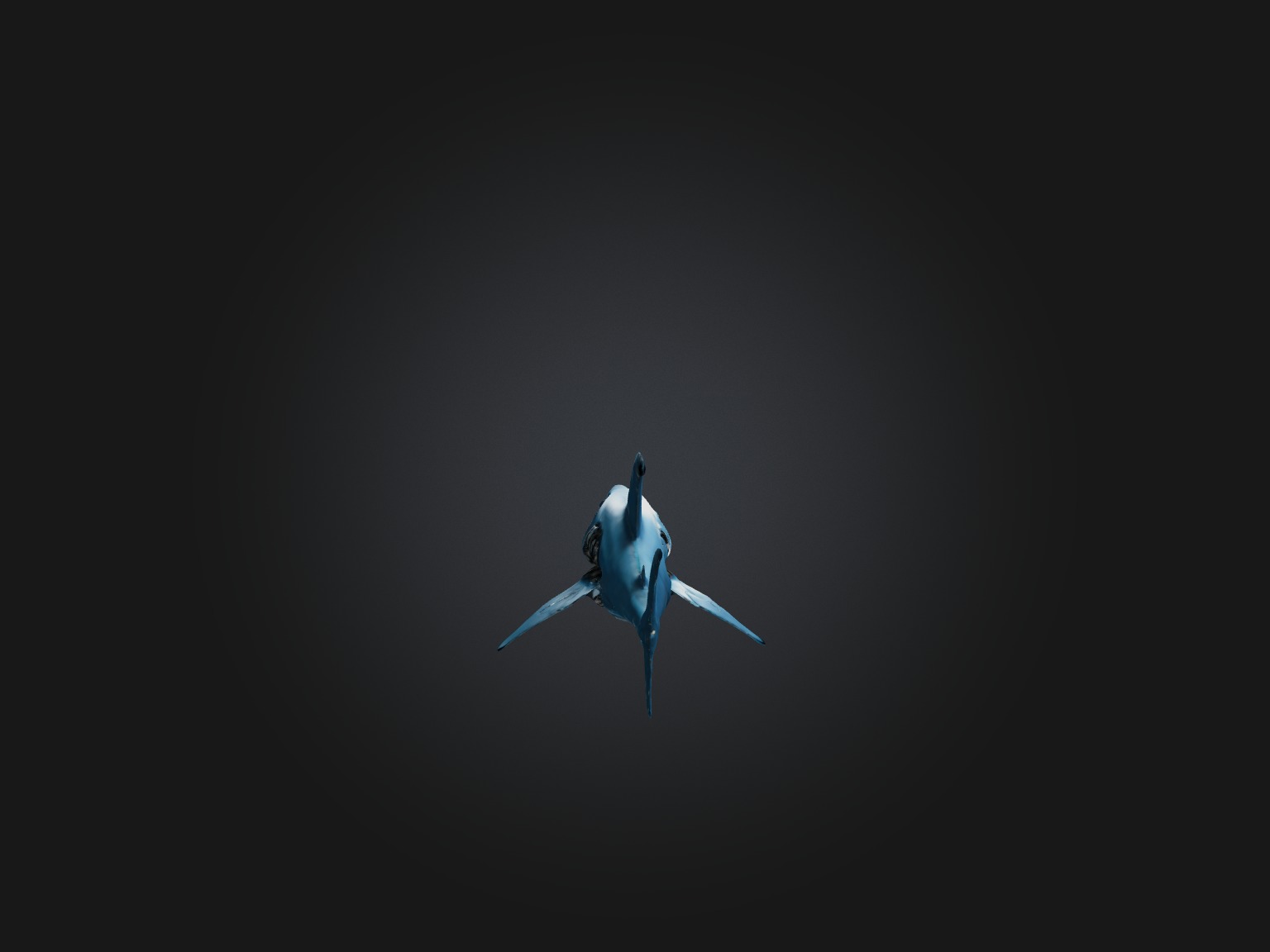 RoboShark Model Low-poly 3D model_6