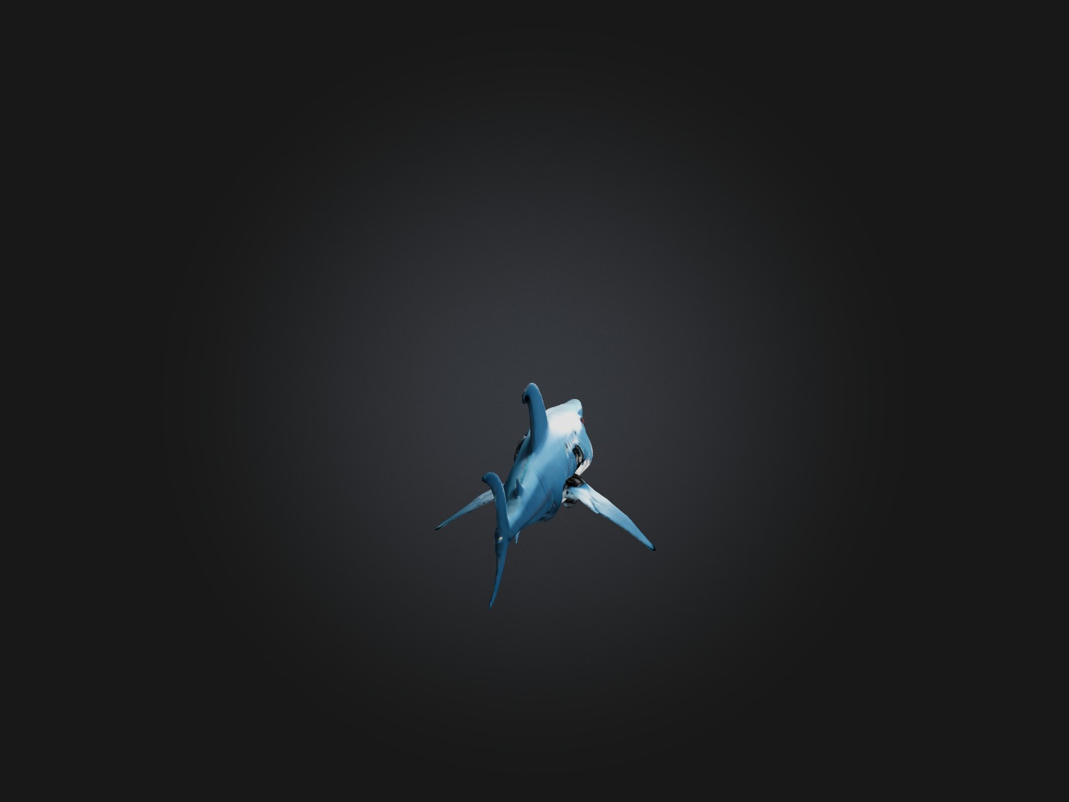 RoboShark Model Low-poly 3D model_5