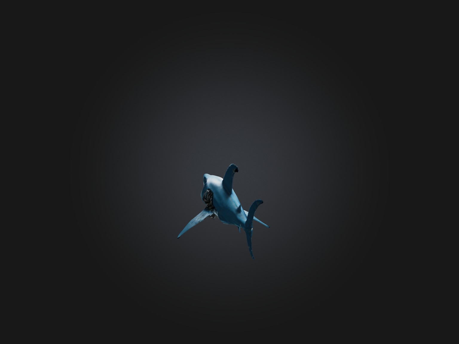 RoboShark Model Low-poly 3D model_8