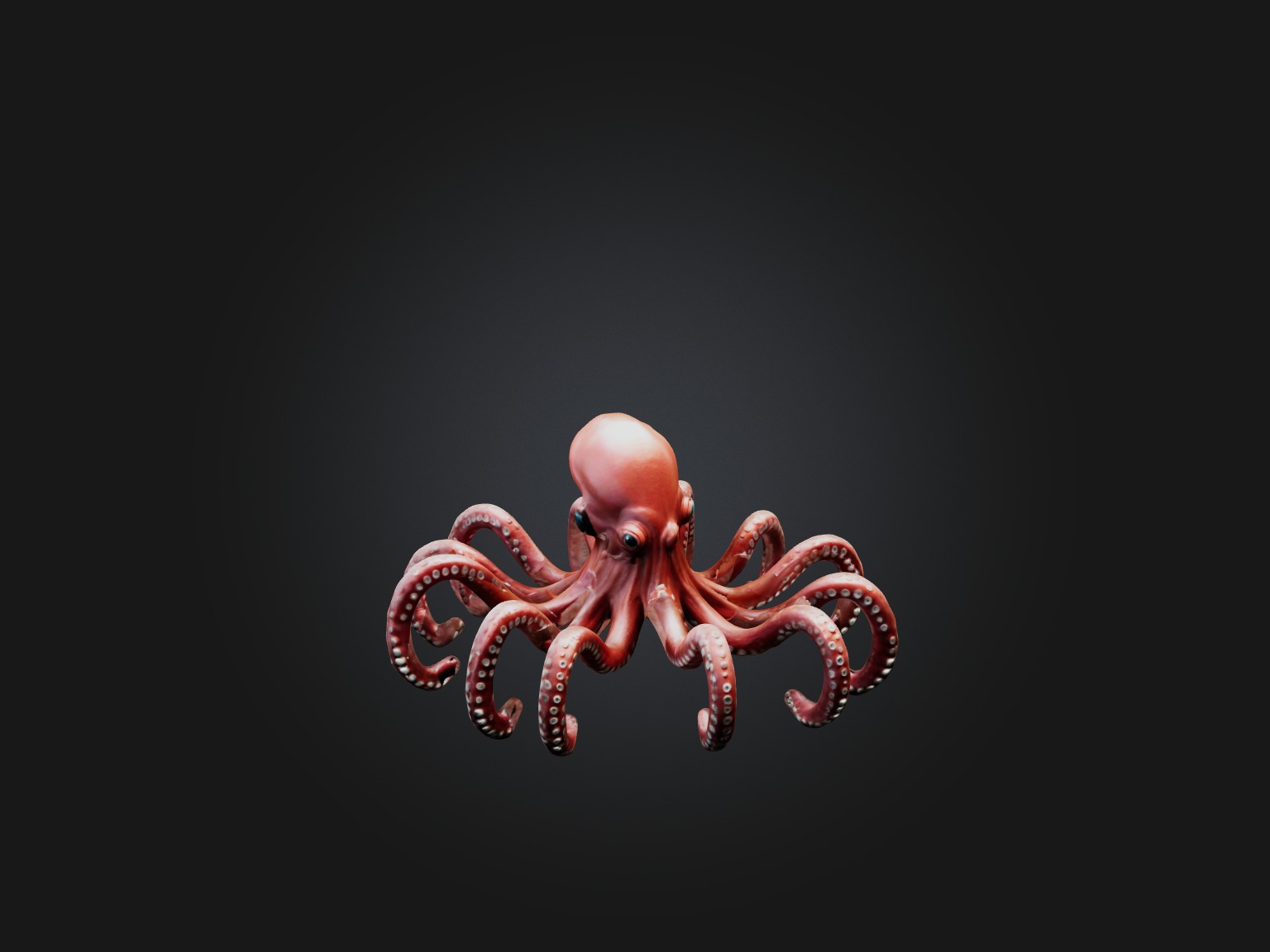RoboOctopus Model Low-poly 3D model_4
