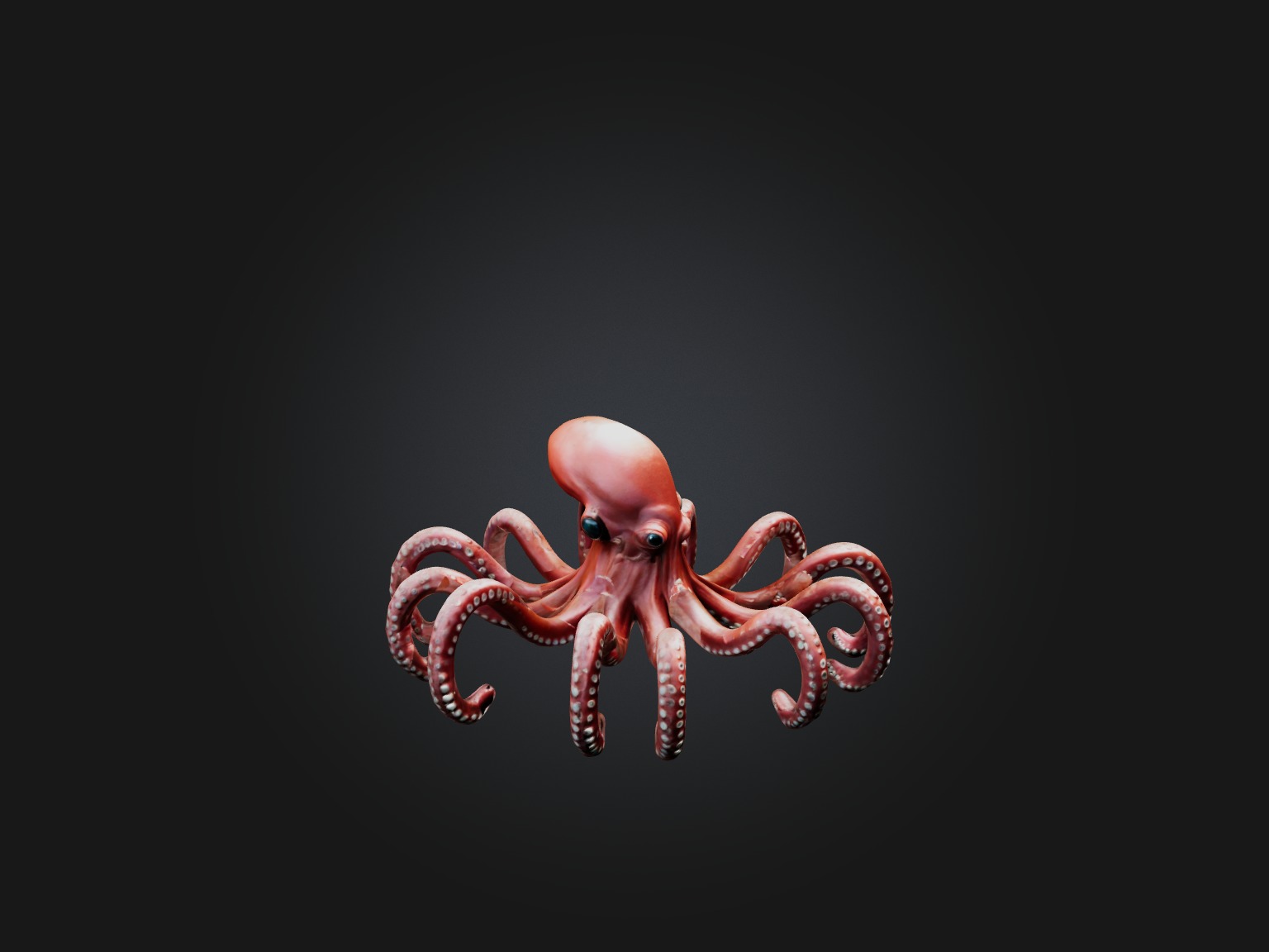 RoboOctopus Model Low-poly 3D model_5